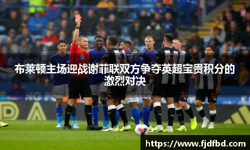 布莱顿主场迎战谢菲联双方争夺英超宝贵积分的激烈对决